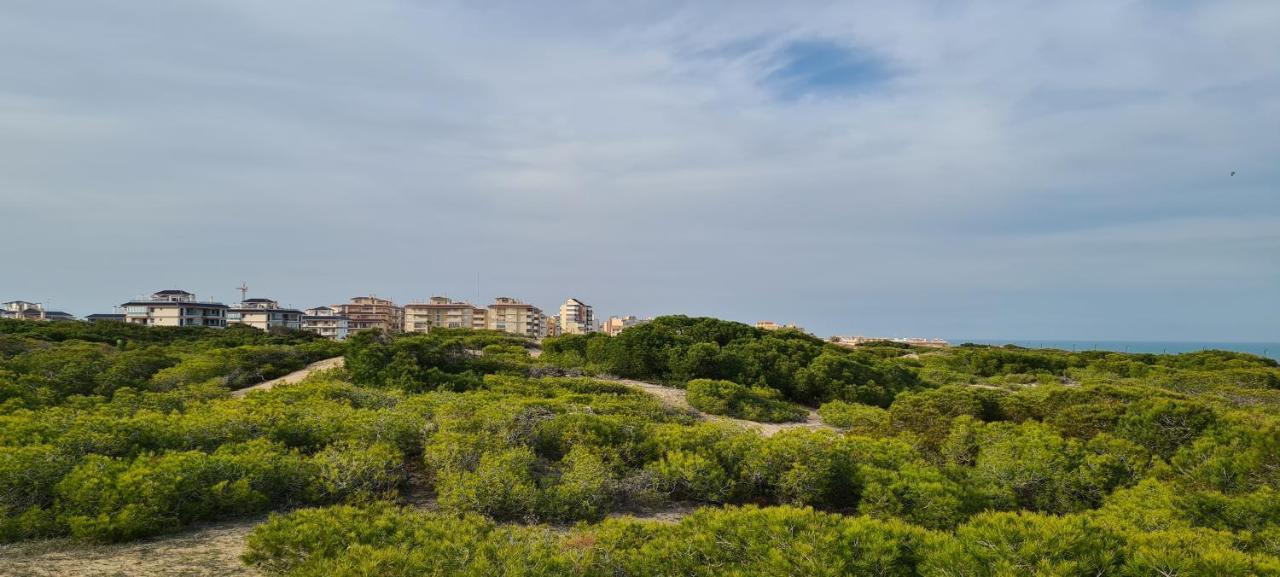 Ferienwohnung Sofia La Mata Torre La Mata Exterior foto